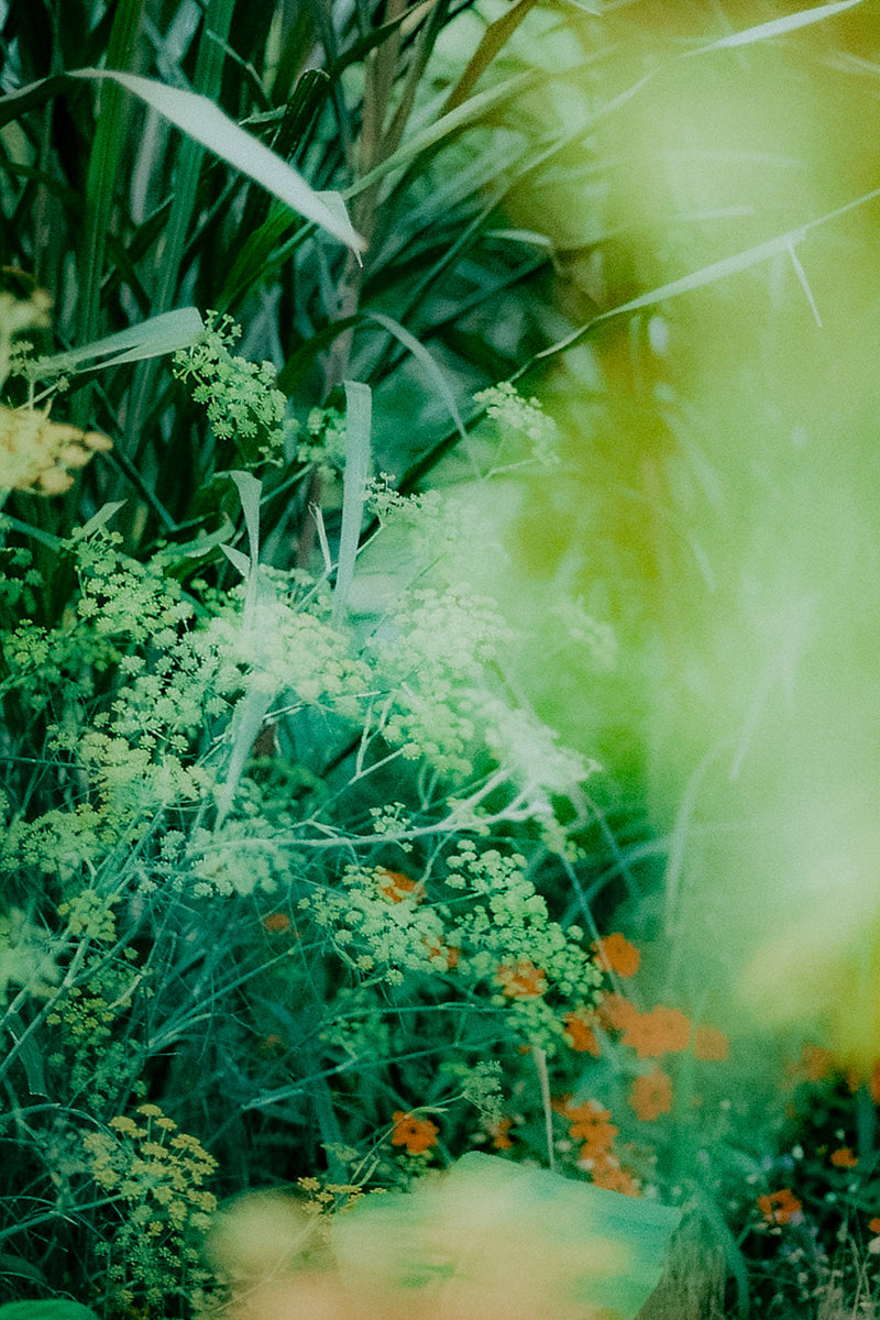 窓辺の余白 – The PERFUME OIL FACTORY