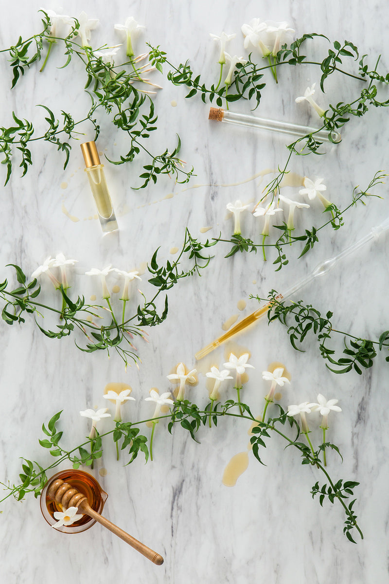Jasmin sambac – The PERFUME OIL FACTORY