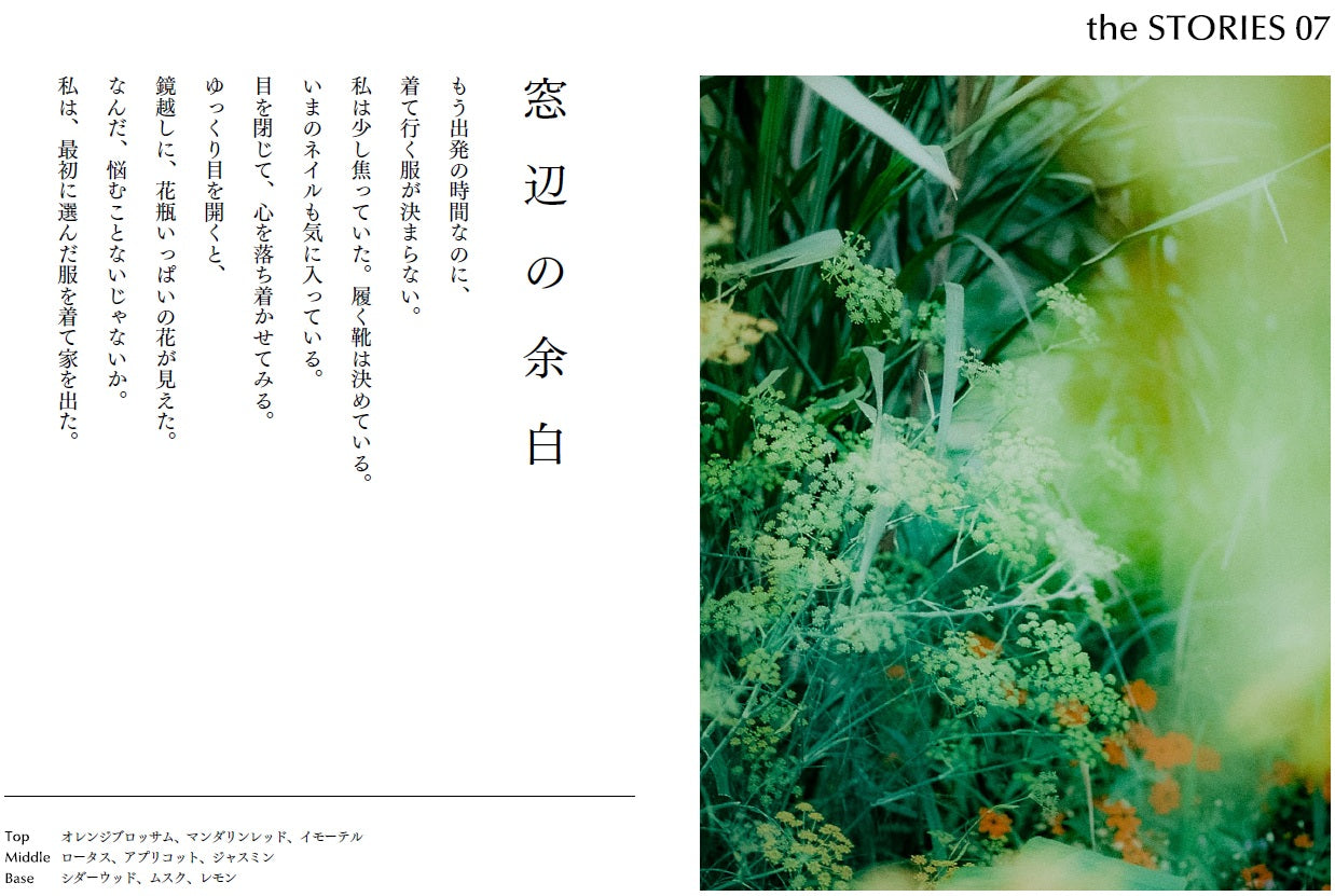 the STORIES への名称変更およびウェブサイトリニューアルについて