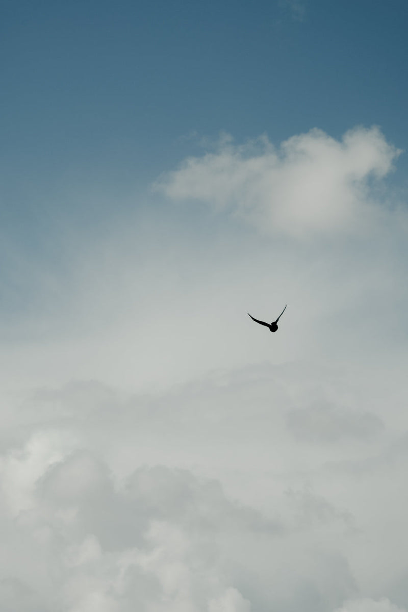 隙間なく私を詰め込んで – The PERFUME OIL FACTORY