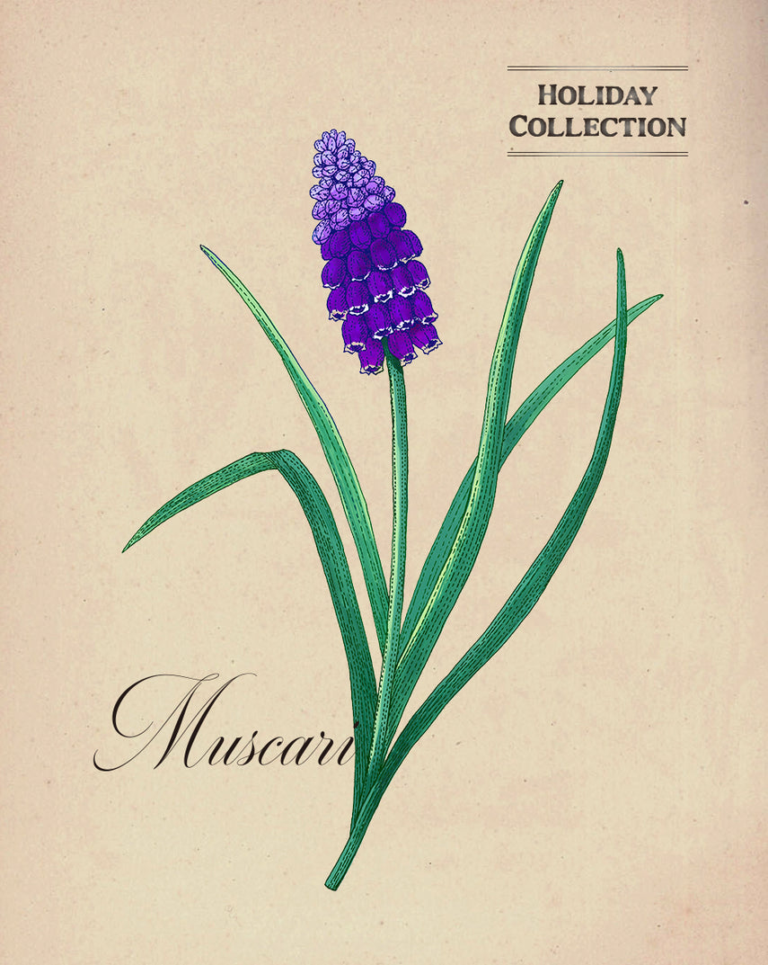 ディズニーアリス　リミテッドパフュームオイル ディズニーアリス リミテッドパフュームオイル - メルカリ