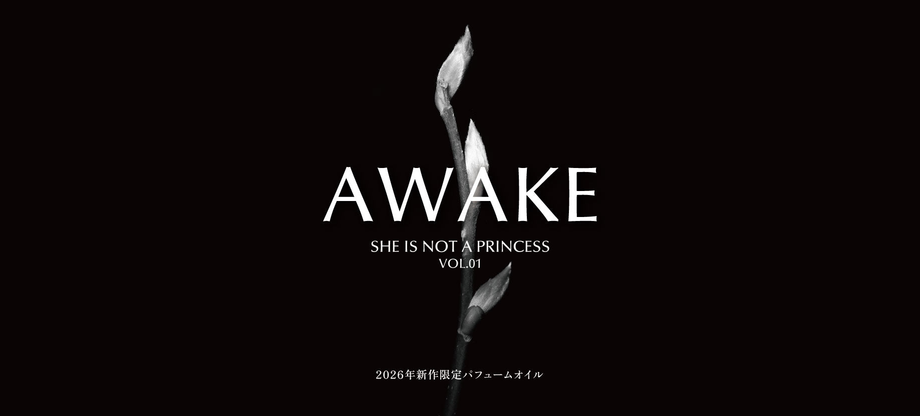 AWAKE