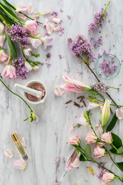 The PERFUME OIL FACTORY 【PREMIUM 02】 Aqua, Helichrysum, Cedarwood – The PERFUME OIL FACTORY