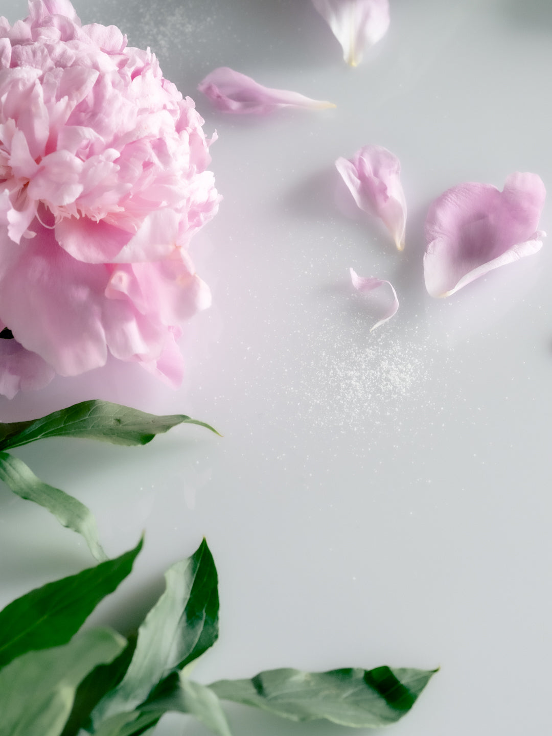 Interlude in Transit – The PERFUME OIL FACTORY