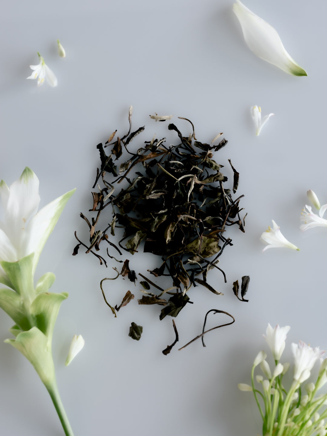 商品 – The PERFUME OIL FACTORY